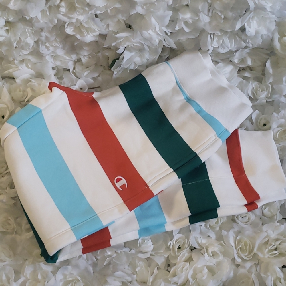 Champion UO Exclusive Medium Stripe SweatPants